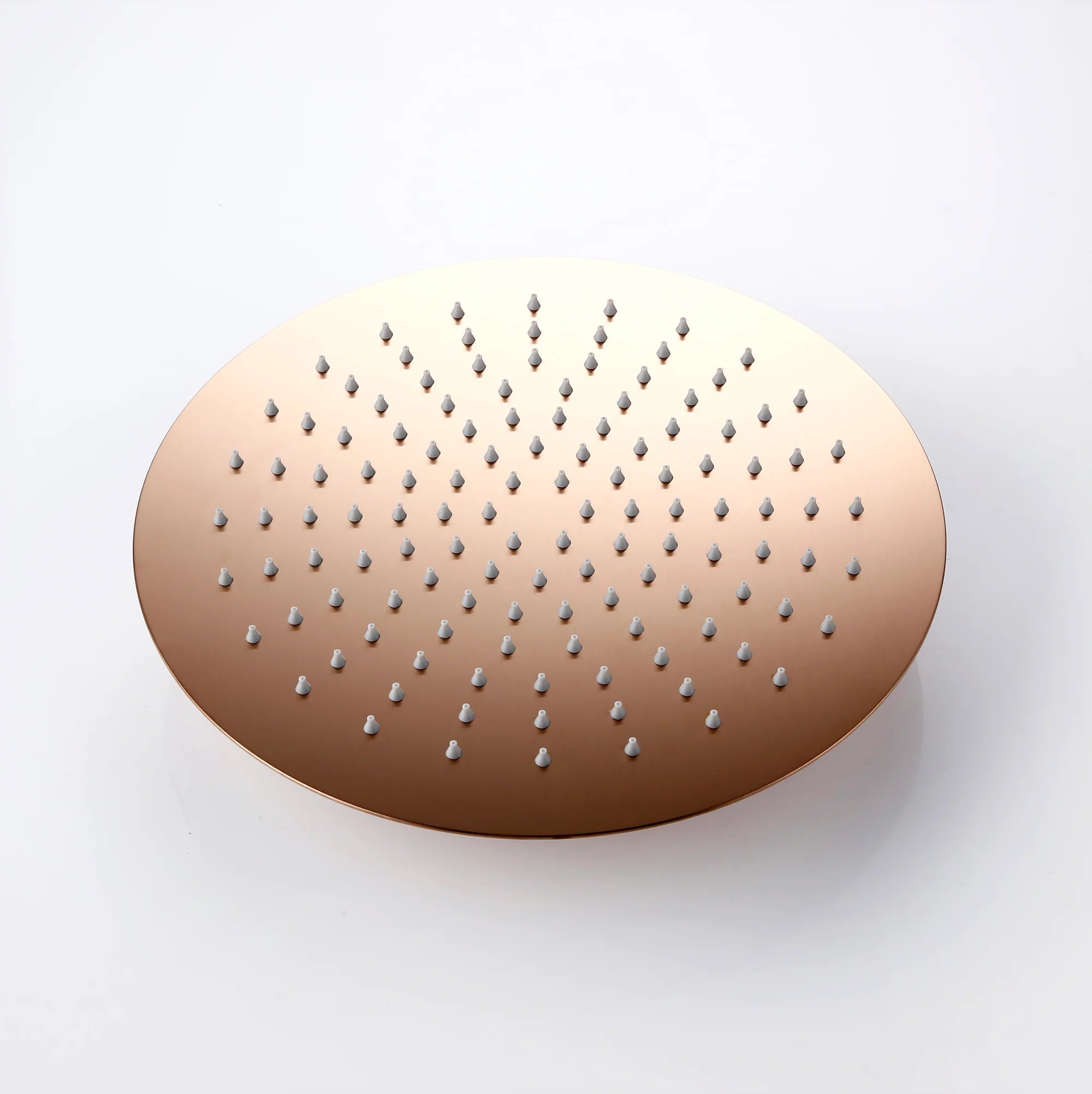 Pommeau de douche pluie (rain shower)