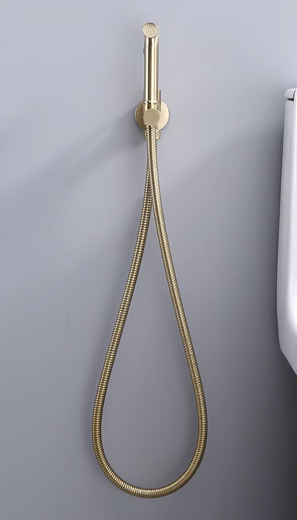 Douchette WC or brossé